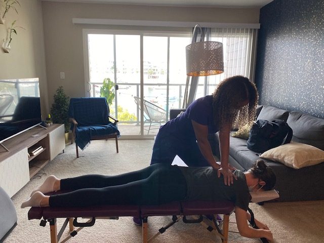 mobile chiropractor mobile chiropractor